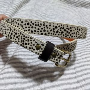 Animal print Gap belt